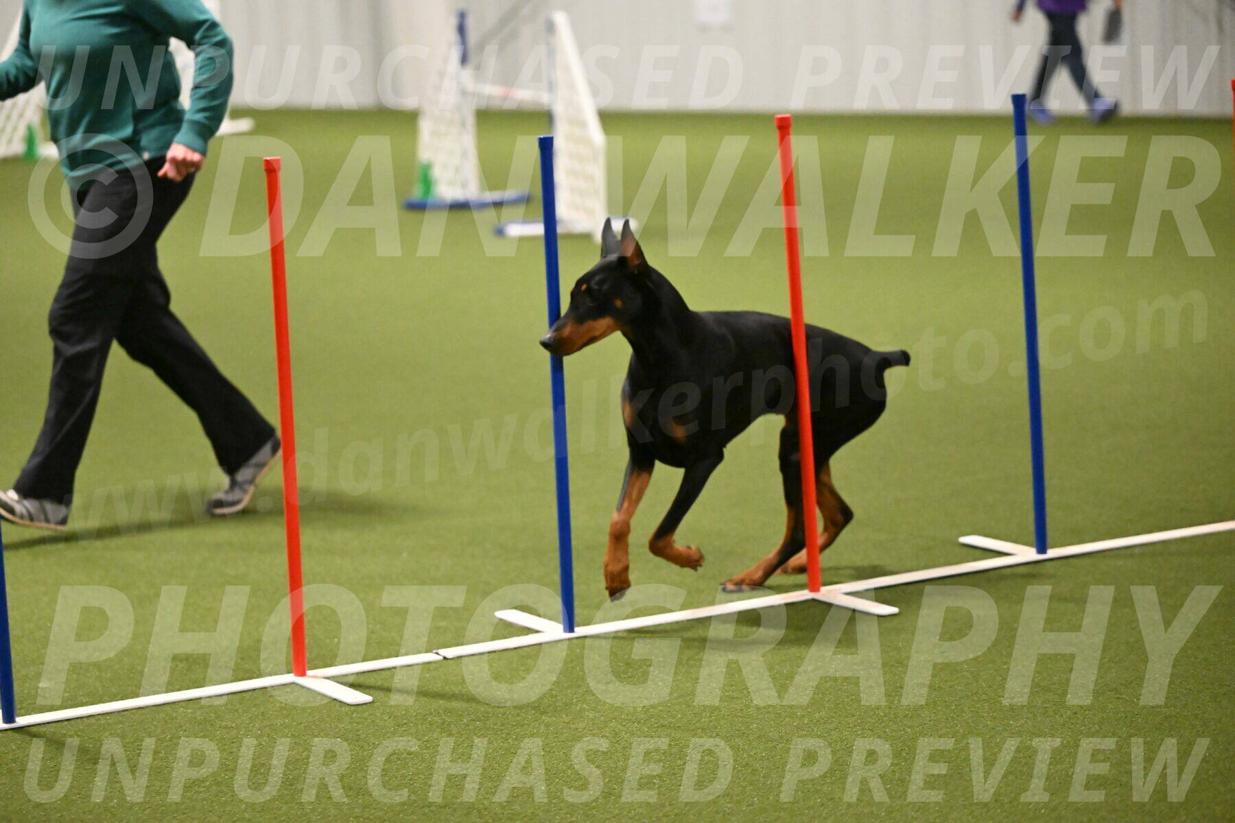 Sage-Nanette-Jarrett-04500