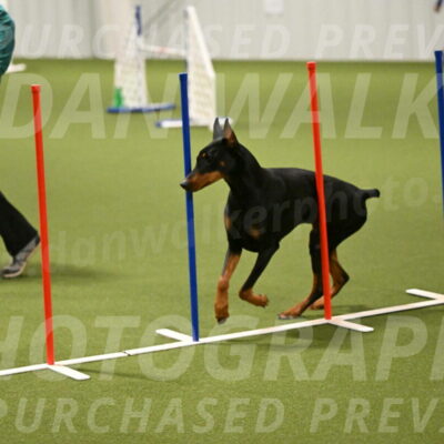 Sage-Nanette-Jarrett-04500