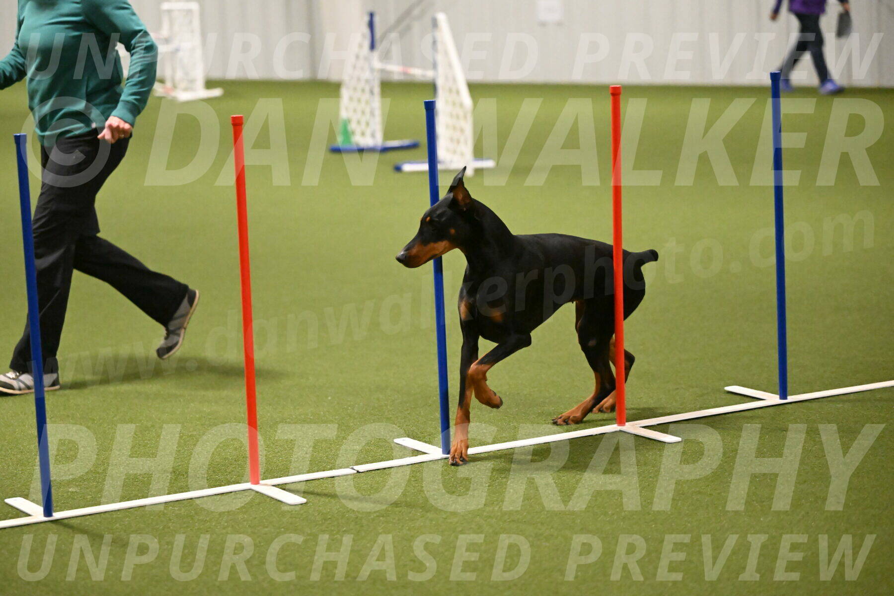 Sage-Nanette-Jarrett-04501