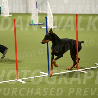 Sage-Nanette-Jarrett-04501