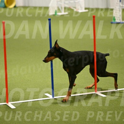 Sage-Nanette-Jarrett-04502