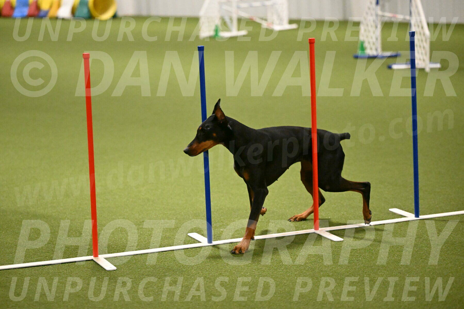 Sage-Nanette-Jarrett-04502