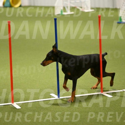 Sage-Nanette-Jarrett-04503