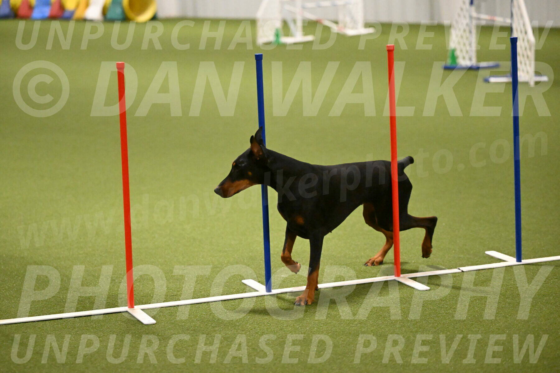 Sage-Nanette-Jarrett-04503