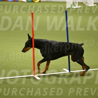 Sage-Nanette-Jarrett-04504