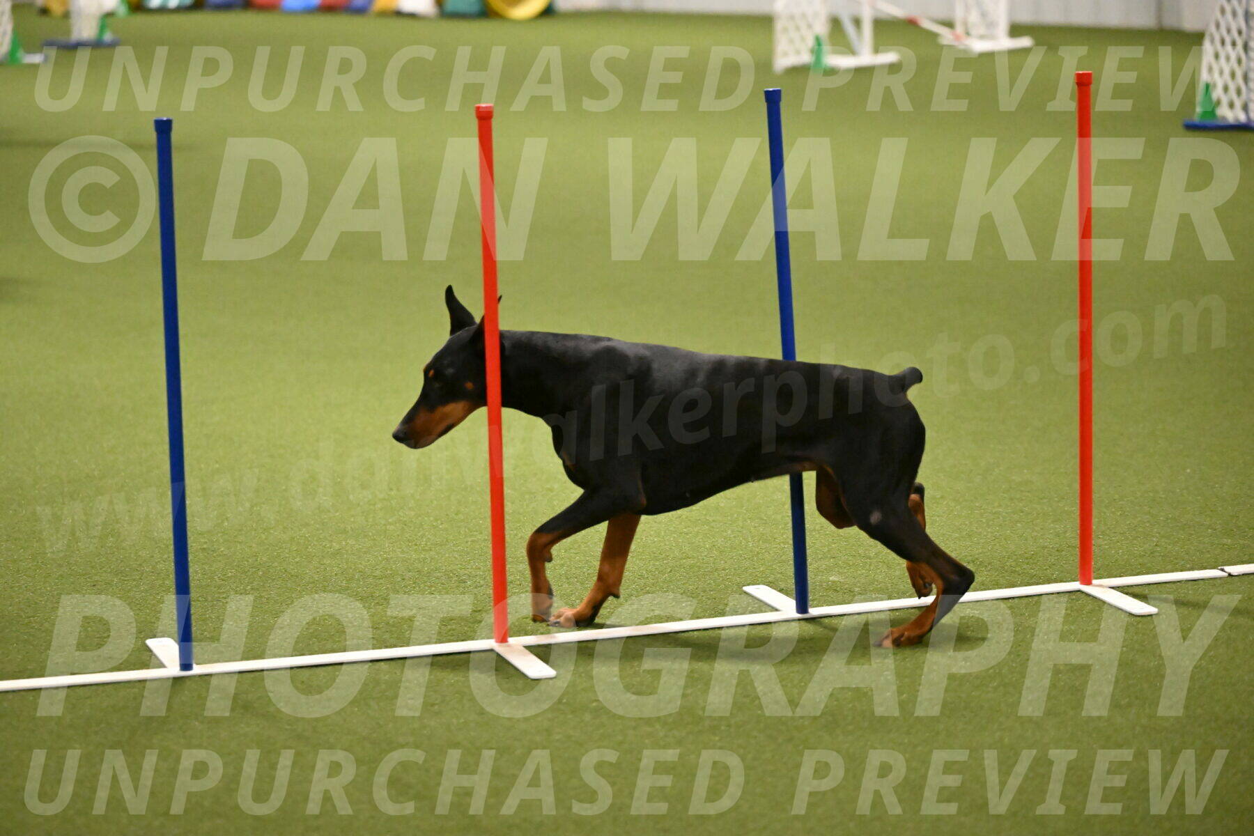 Sage-Nanette-Jarrett-04504