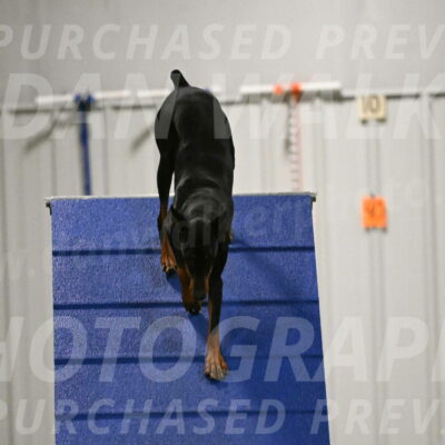 Sage-Nanette-Jarrett-04505