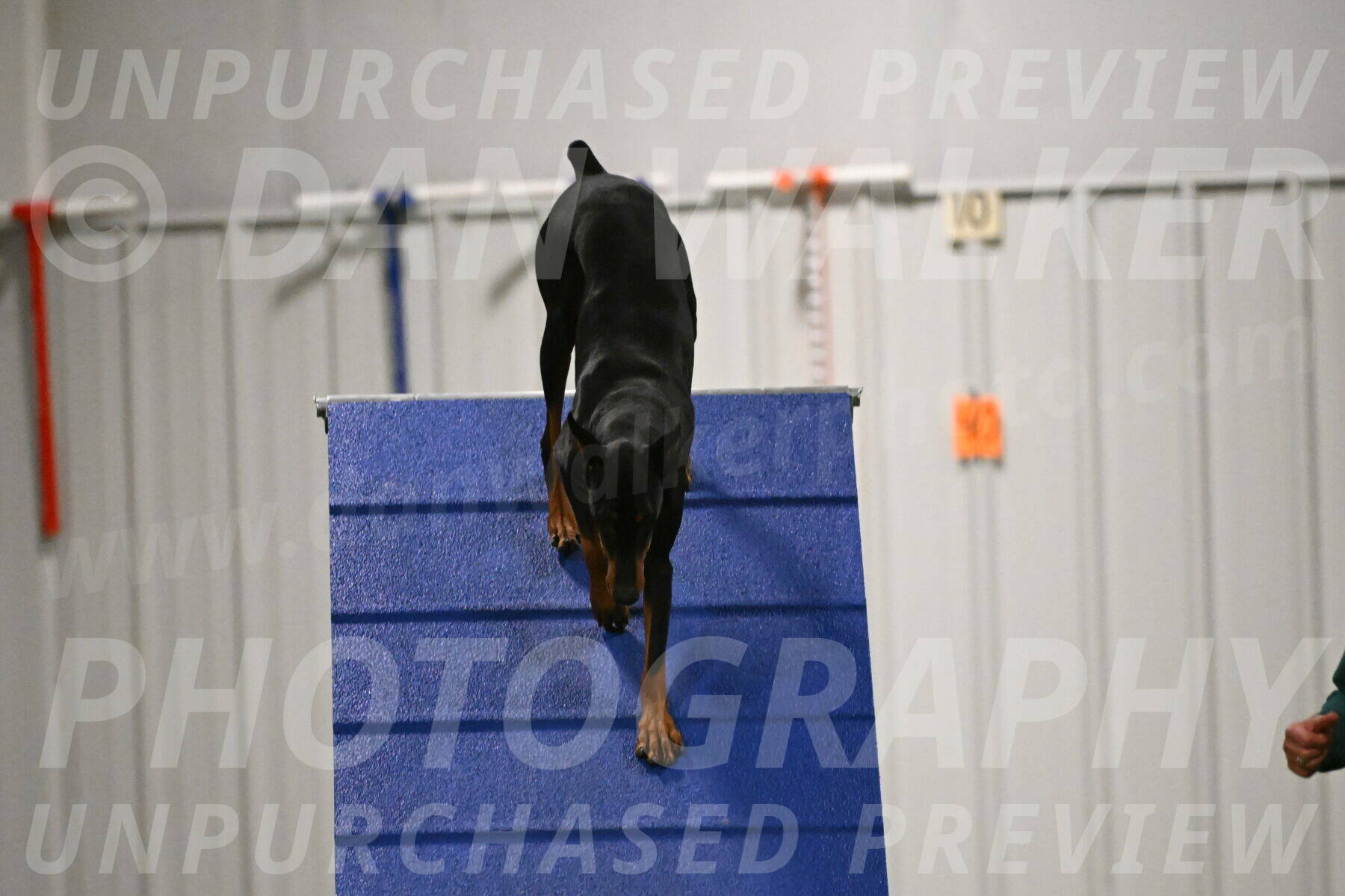 Sage-Nanette-Jarrett-04505