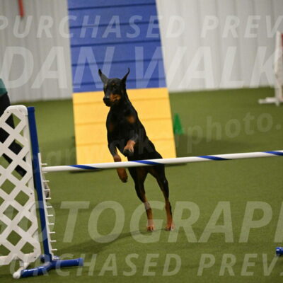 Sage-Nanette-Jarrett-04506