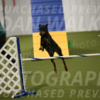 Sage-Nanette-Jarrett-04507