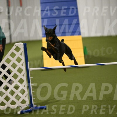 Sage-Nanette-Jarrett-04508