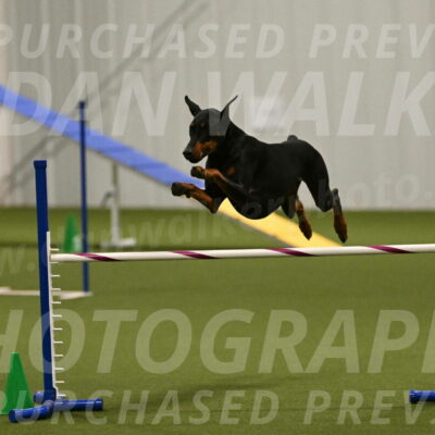 Sage-Nanette-Jarrett-04509