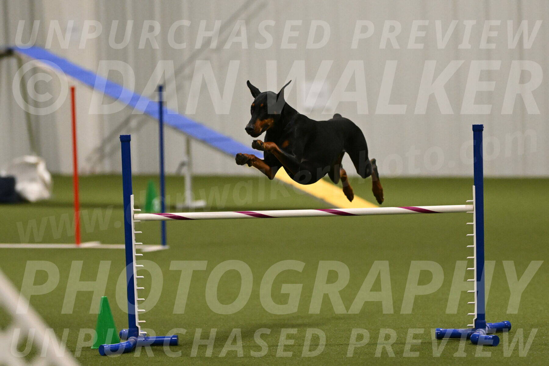 Sage-Nanette-Jarrett-04509