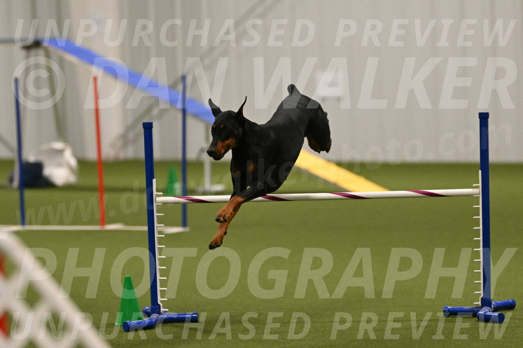 Sage-Nanette-Jarrett-04510