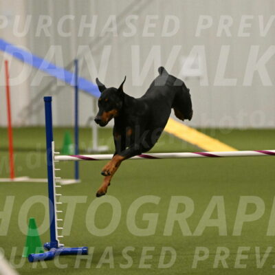 Sage-Nanette-Jarrett-04510