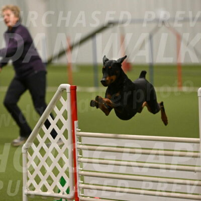 Sage-Nanette-Jarrett-04511