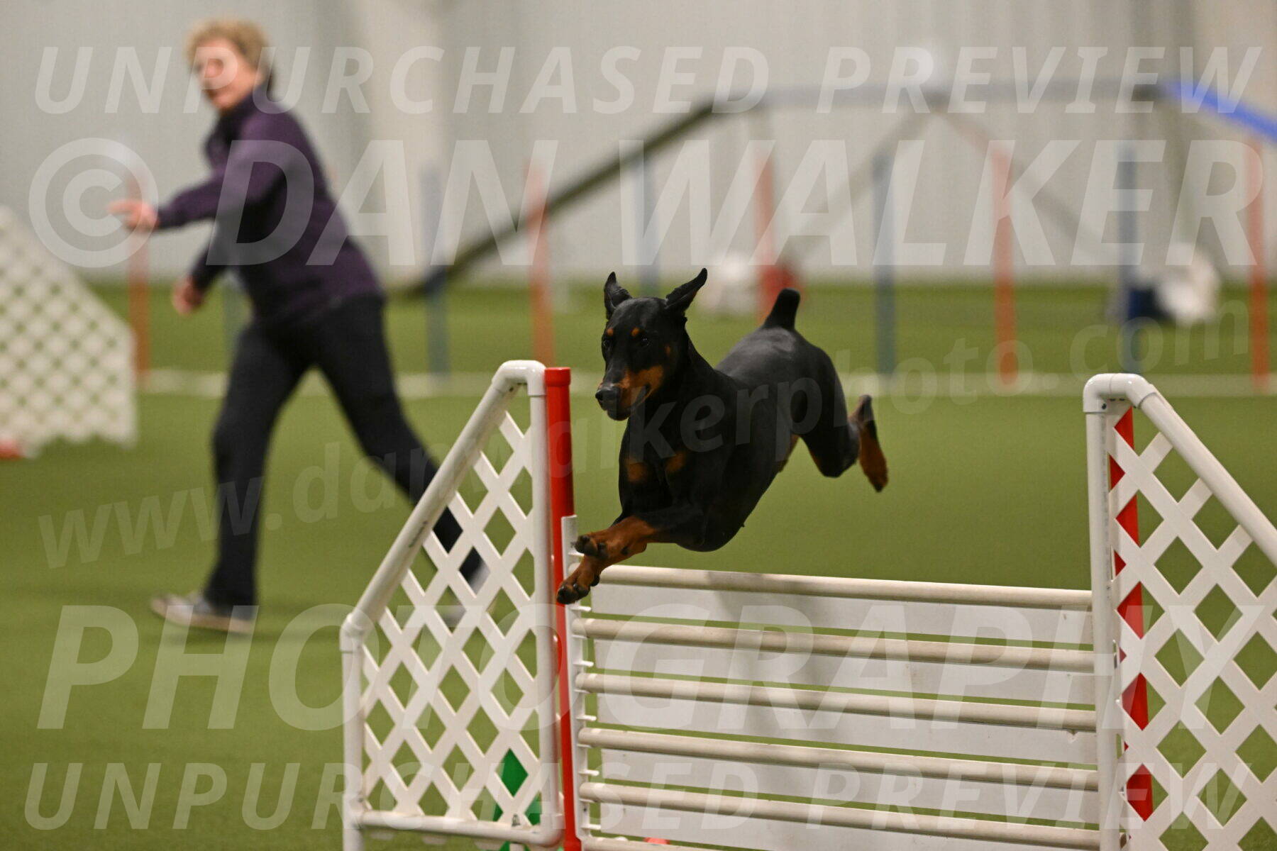 Sage-Nanette-Jarrett-04512