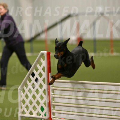 Sage-Nanette-Jarrett-04512