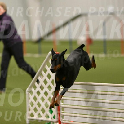 Sage-Nanette-Jarrett-04513