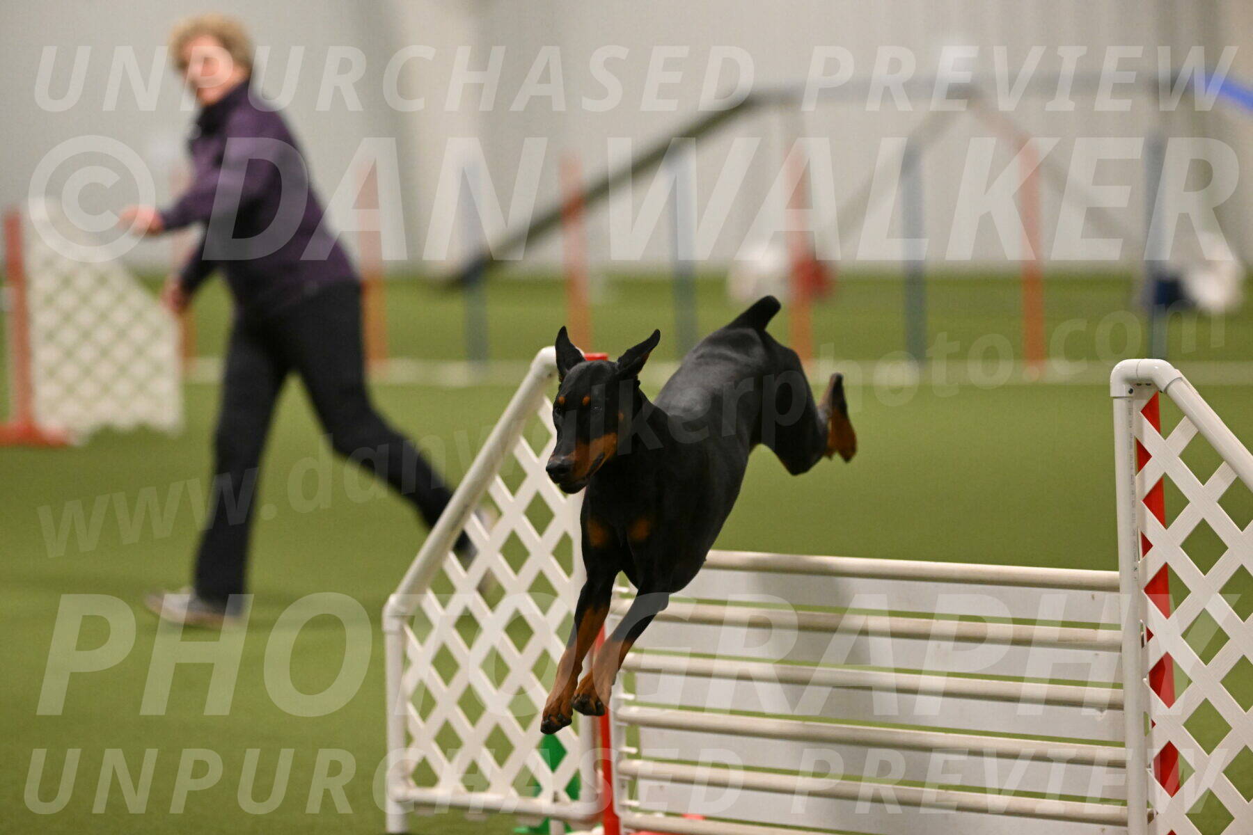 Sage-Nanette-Jarrett-04513