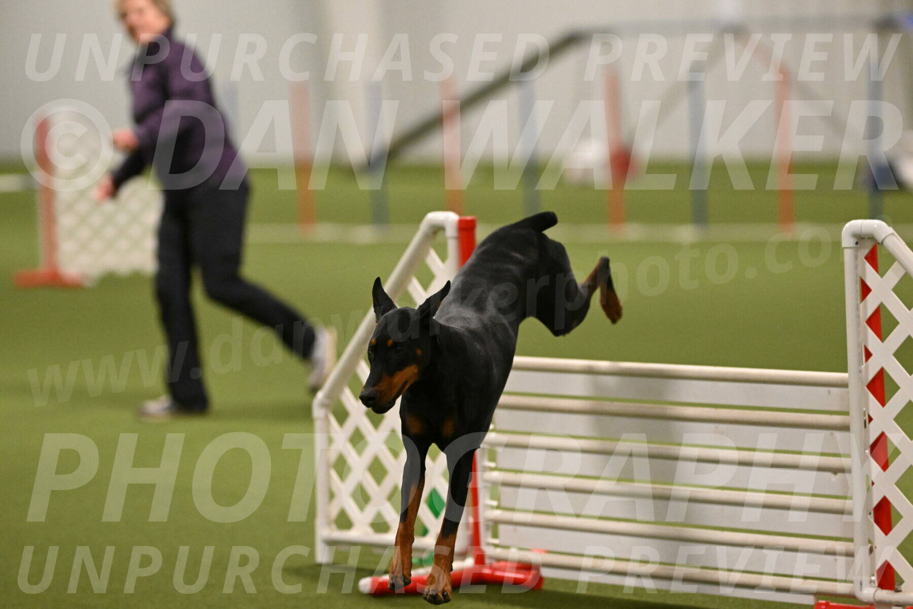 Sage-Nanette-Jarrett-04514