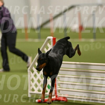 Sage-Nanette-Jarrett-04514