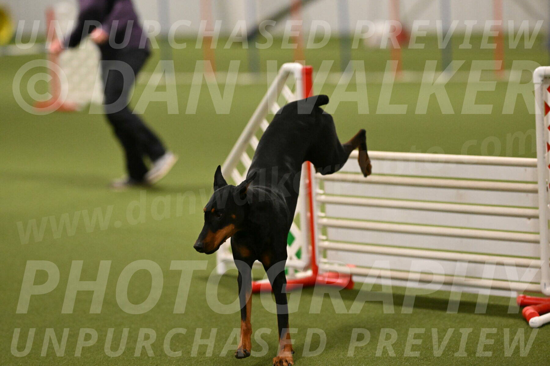 Sage-Nanette-Jarrett-04515