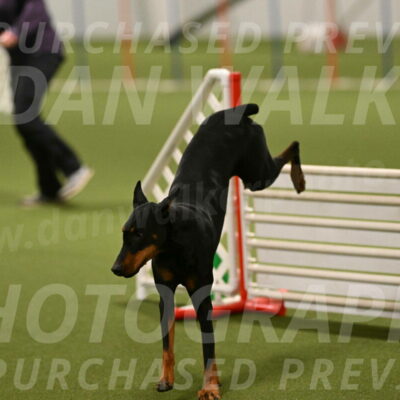 Sage-Nanette-Jarrett-04515