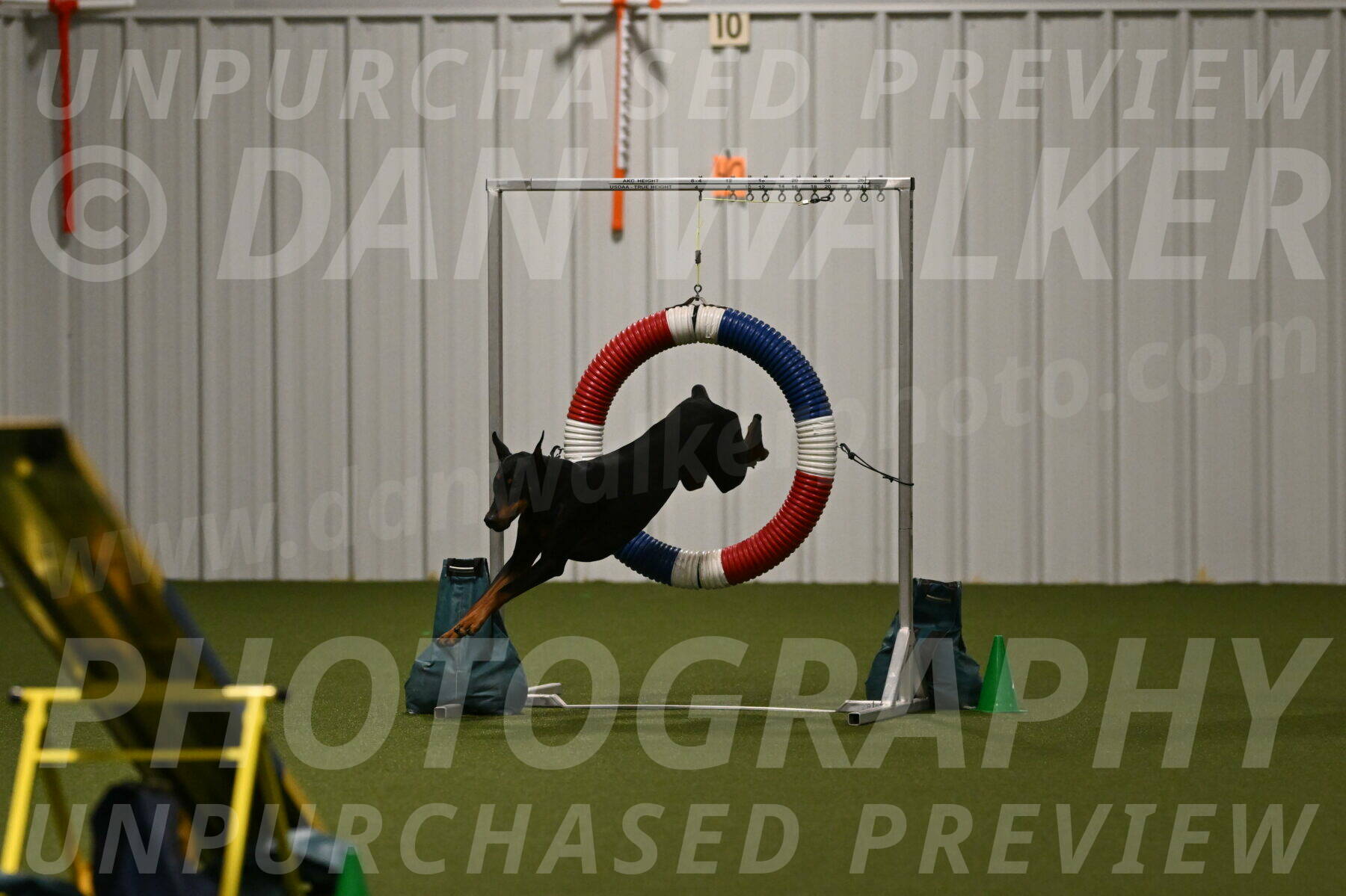 Sage-Nanette-Jarrett-04516