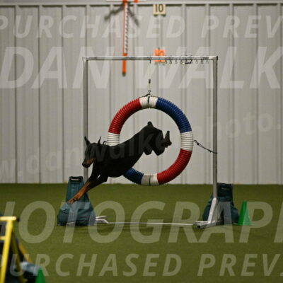 Sage-Nanette-Jarrett-04516