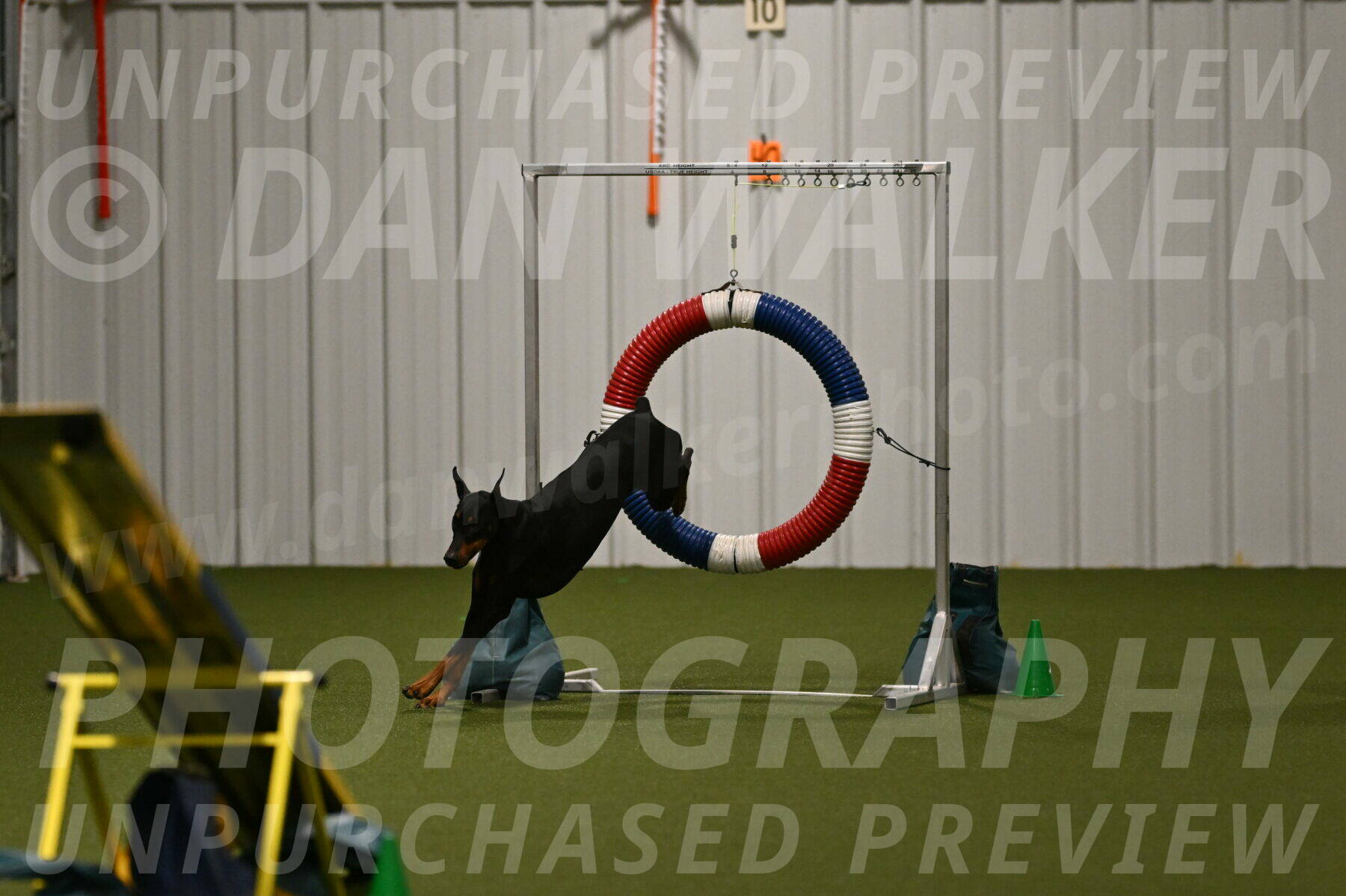 Sage-Nanette-Jarrett-04517