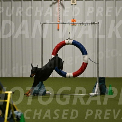 Sage-Nanette-Jarrett-04517