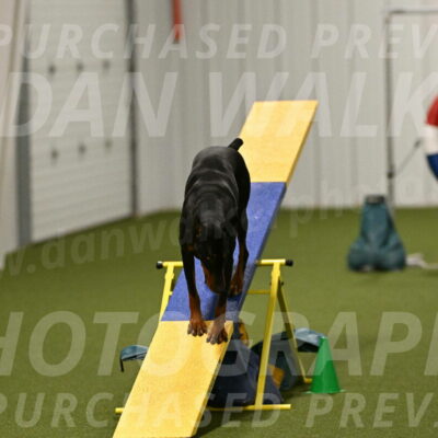 Sage-Nanette-Jarrett-04518