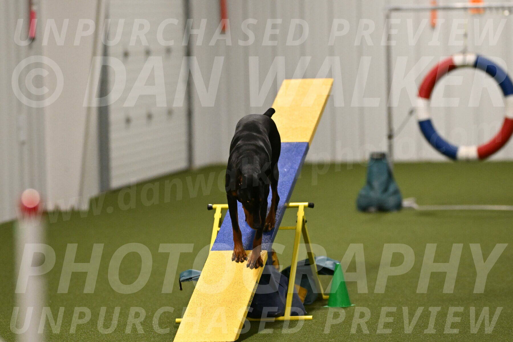 Sage-Nanette-Jarrett-04518