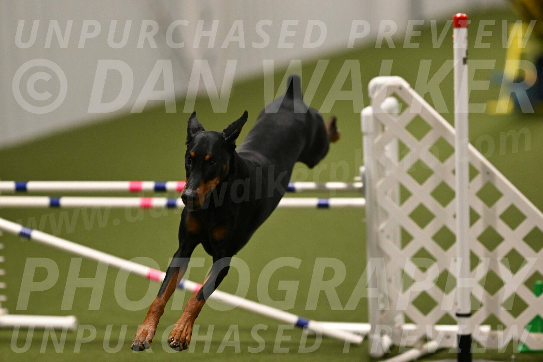 Sage-Nanette-Jarrett-04519