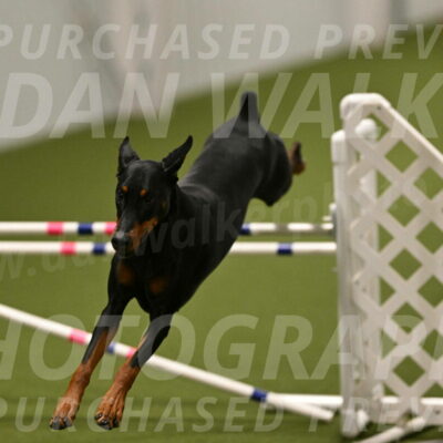 Sage-Nanette-Jarrett-04519