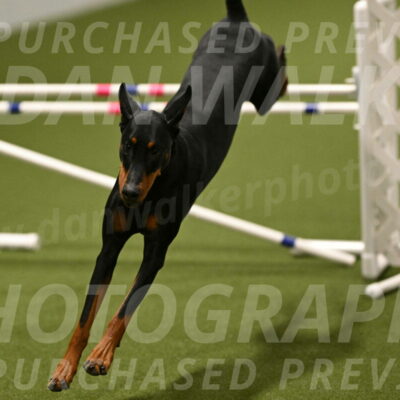 Sage-Nanette-Jarrett-04520