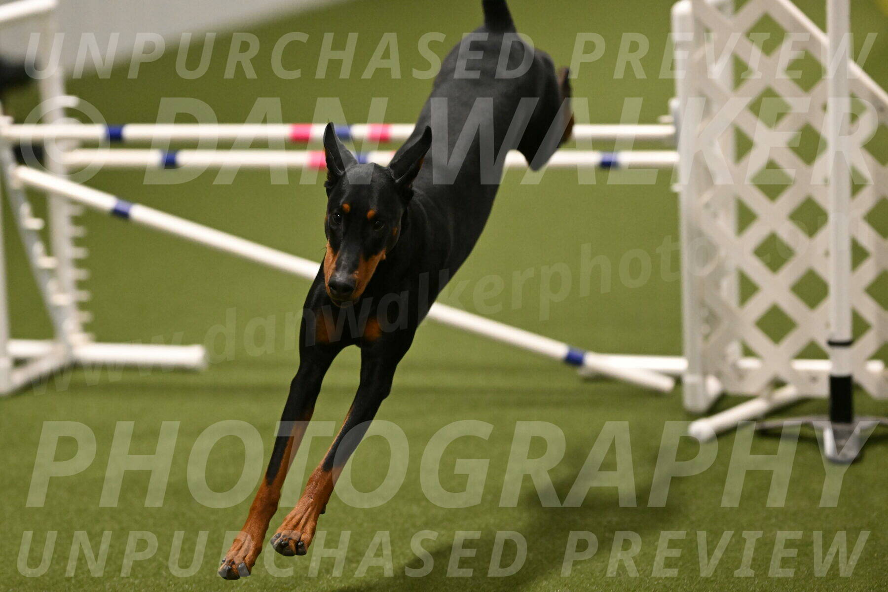 Sage-Nanette-Jarrett-04520