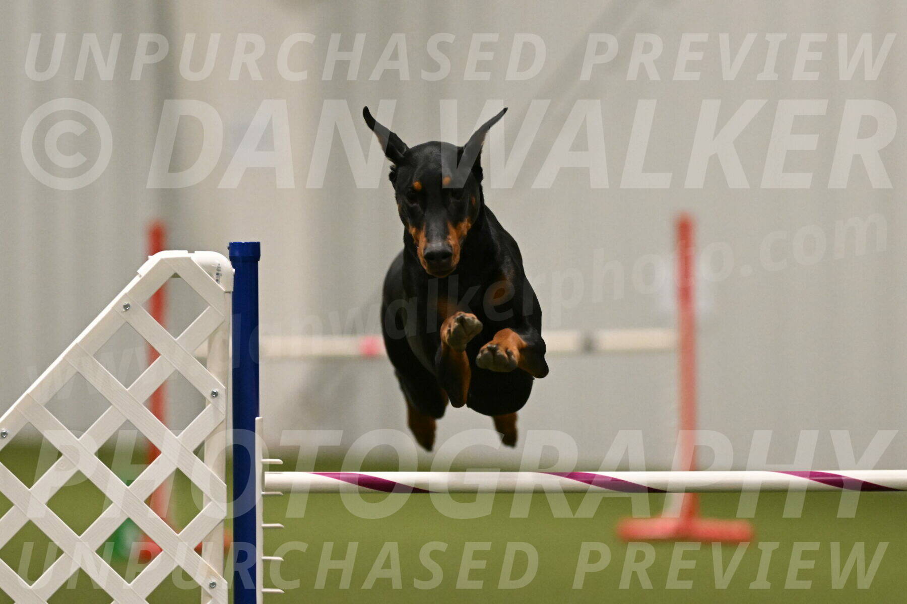 Sage-Nanette-Jarrett-04521