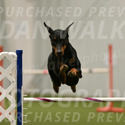 Sage-Nanette-Jarrett-04521