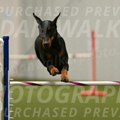 Sage-Nanette-Jarrett-04522