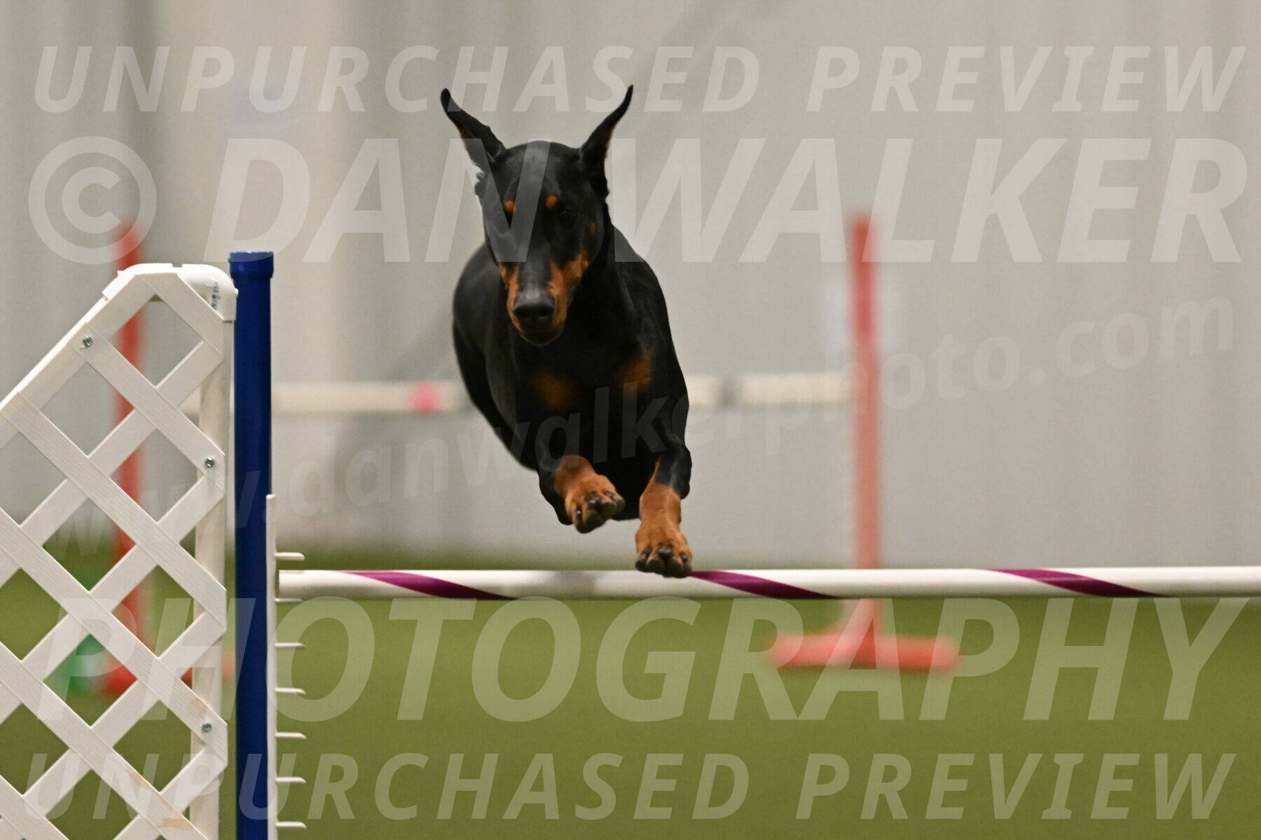 Sage-Nanette-Jarrett-04522