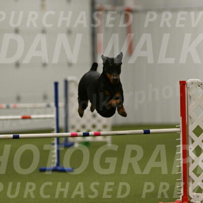 Sage-Nanette-Jarrett-04523