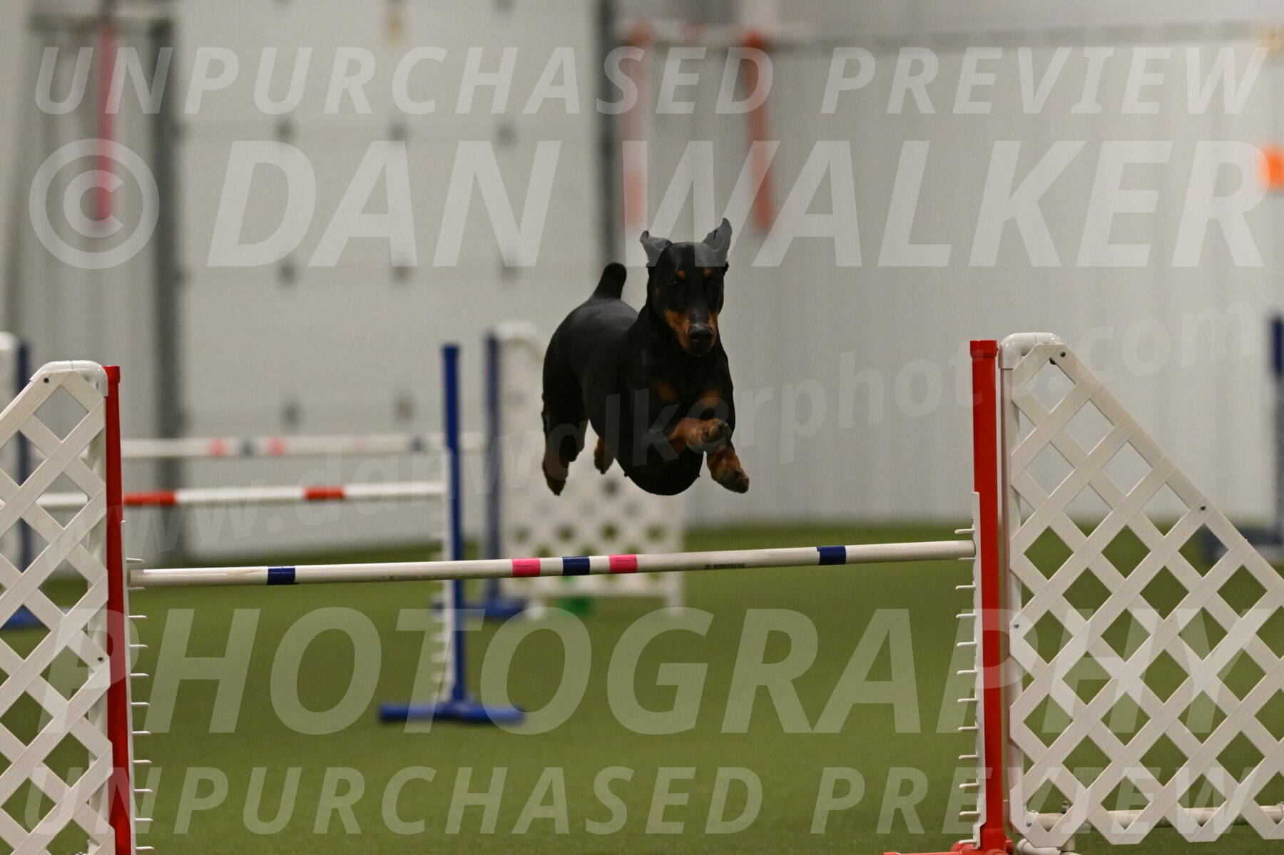 Sage-Nanette-Jarrett-04523