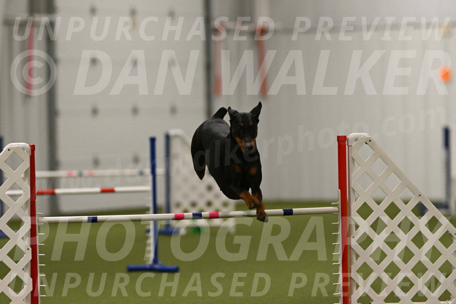 Sage-Nanette-Jarrett-04524