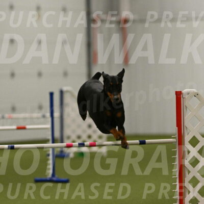 Sage-Nanette-Jarrett-04524