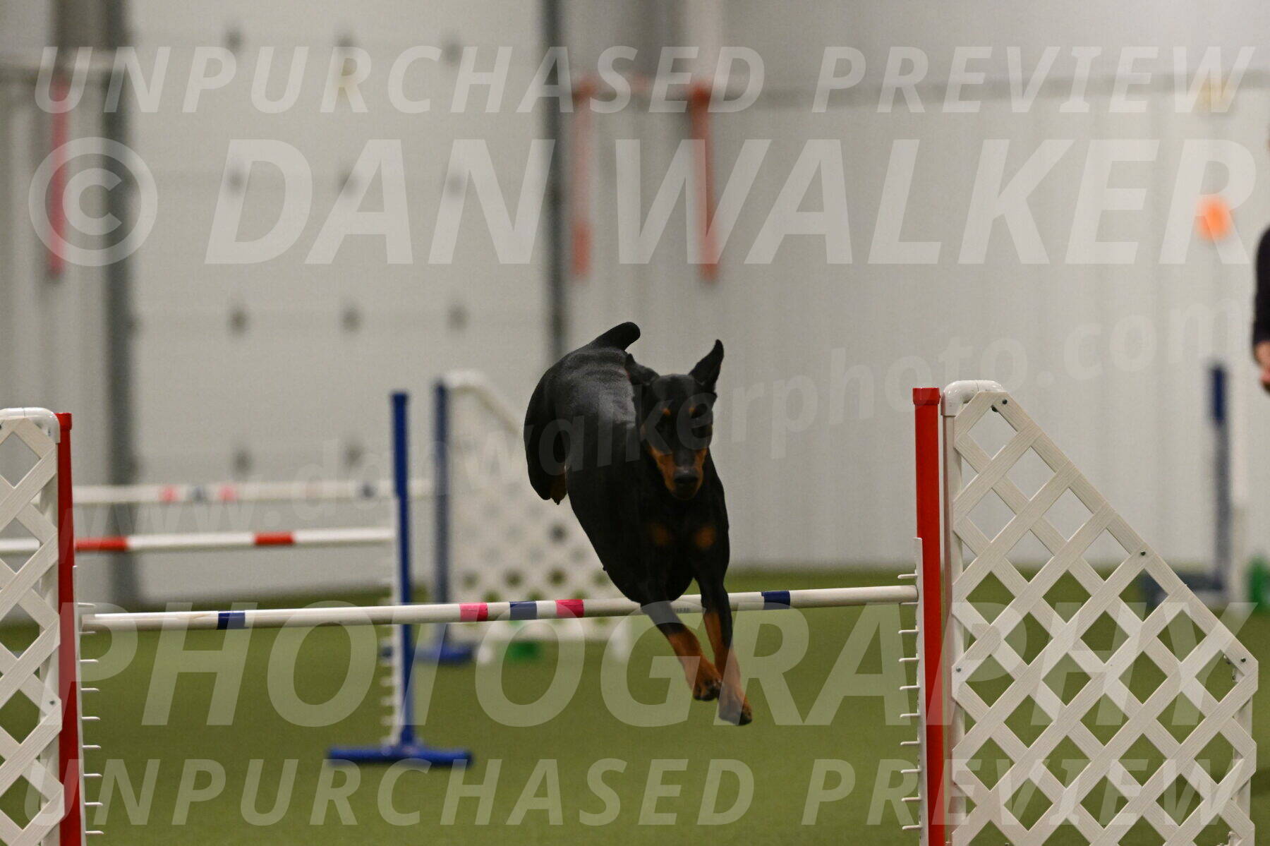 Sage-Nanette-Jarrett-04525