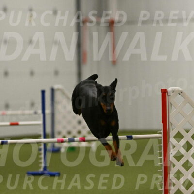 Sage-Nanette-Jarrett-04525