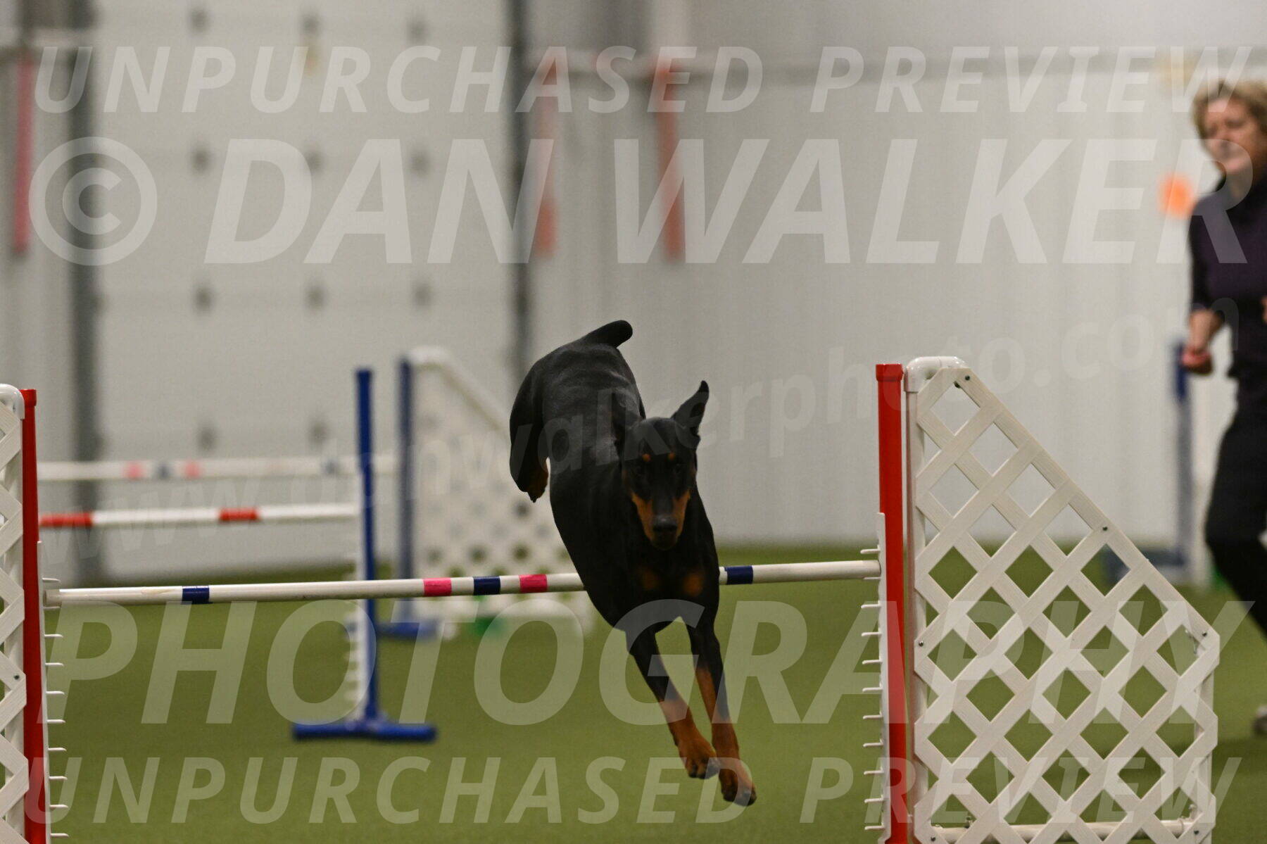 Sage-Nanette-Jarrett-04526