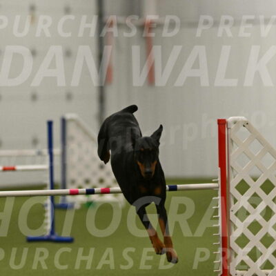 Sage-Nanette-Jarrett-04526